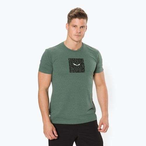 Camicia da trekking Salewa Pure Box Dry verde grezzo melange da uomo