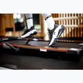 XTREXO Walking Pad W150 tapis roulant elettrico nero 9