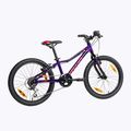 Bicicletta per bambini Kellys Lumi 30 20" viola 3