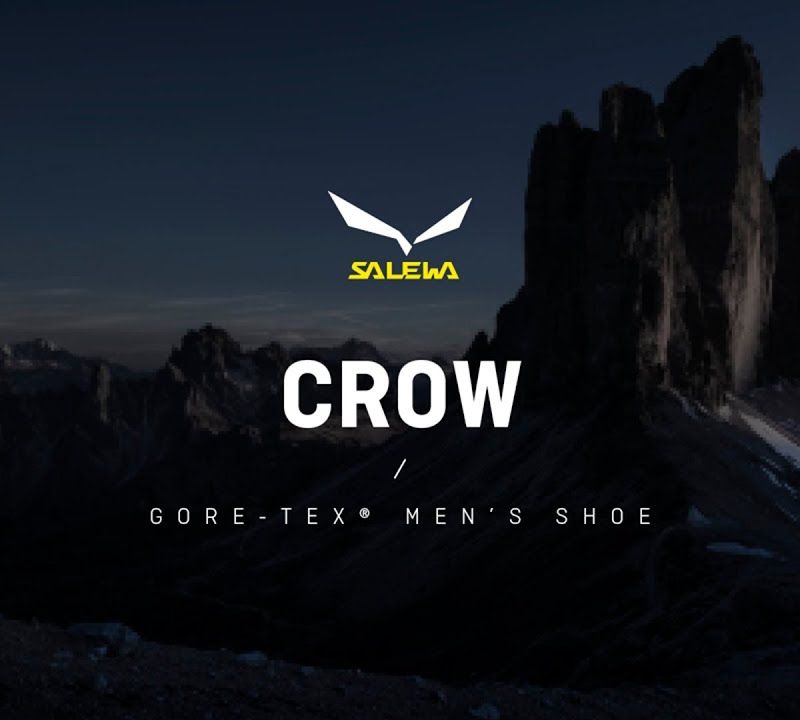 Scarponi da montagna da uomo Salewa Crow GTX wallnut/arancio fluo 12