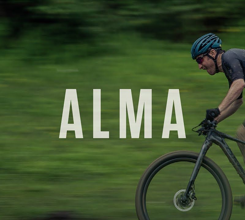 Orbea Alma H50 nero/verde mountain bike 17
