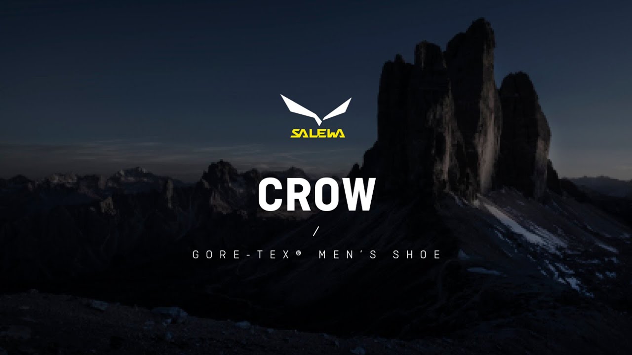 Scarponi da montagna da uomo Salewa Crow GTX wallnut/arancio fluo