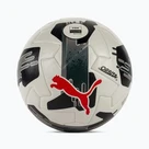Calcio
